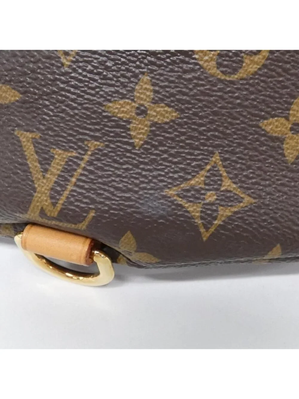 Louis Vuitton Monogram Bum